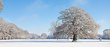 甘肃农业队国外比赛取得重要胜利，实力渐显